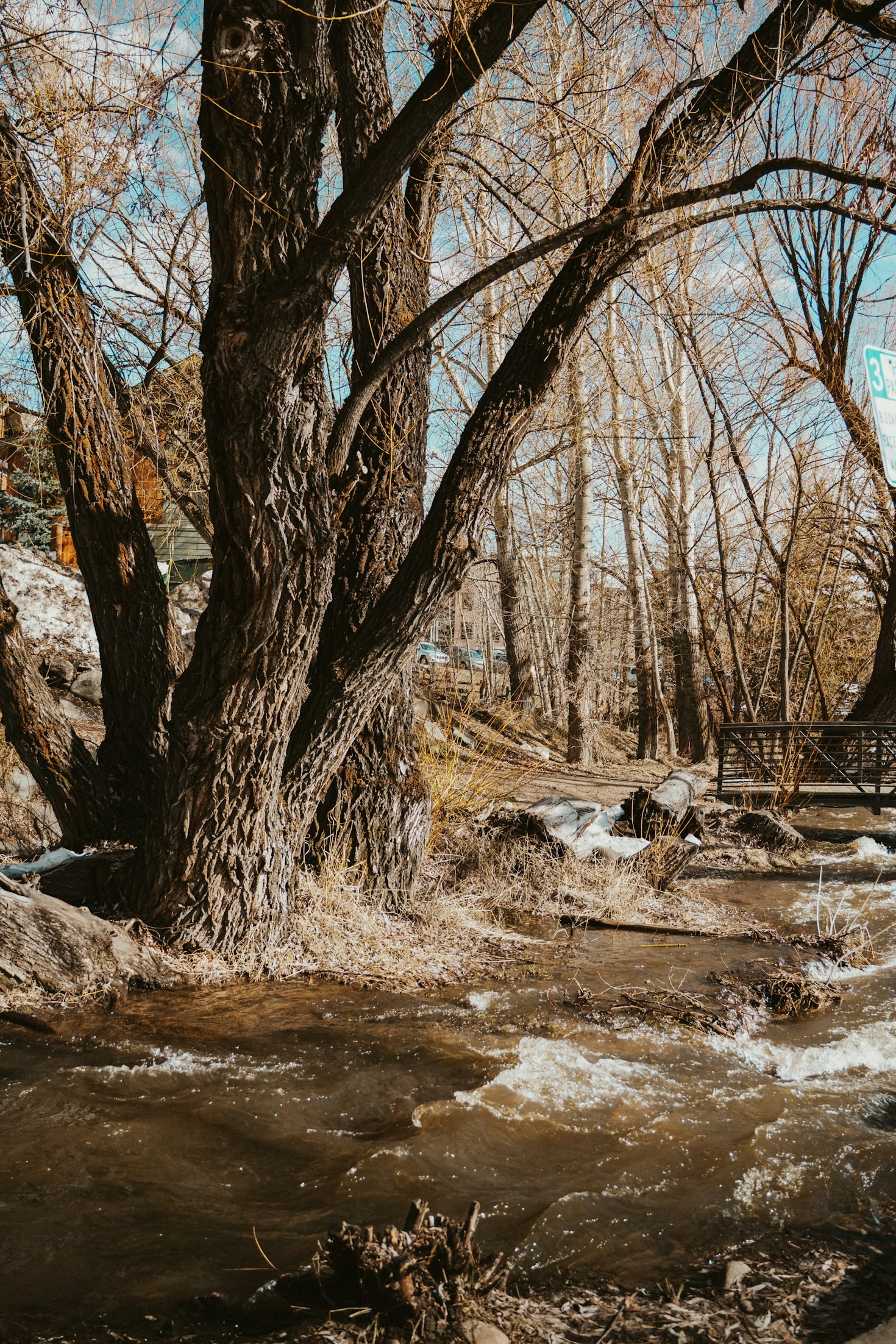 Seasonal Travel Ideas for Exploring the USA
