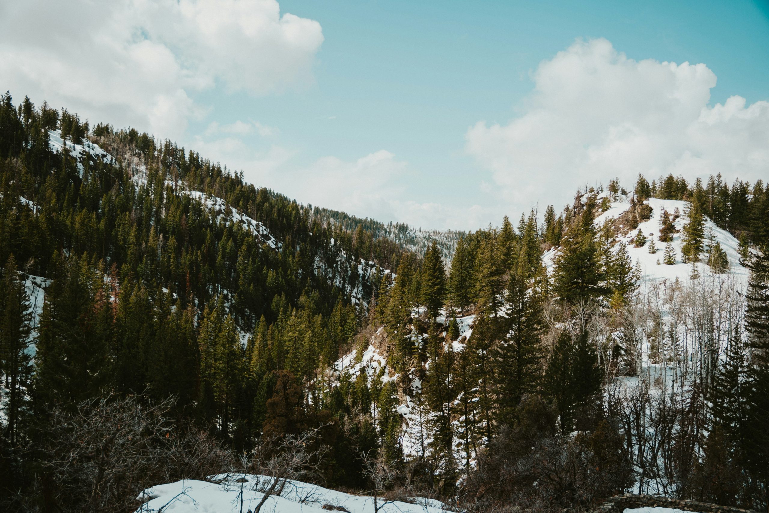 Hello World Featured Image